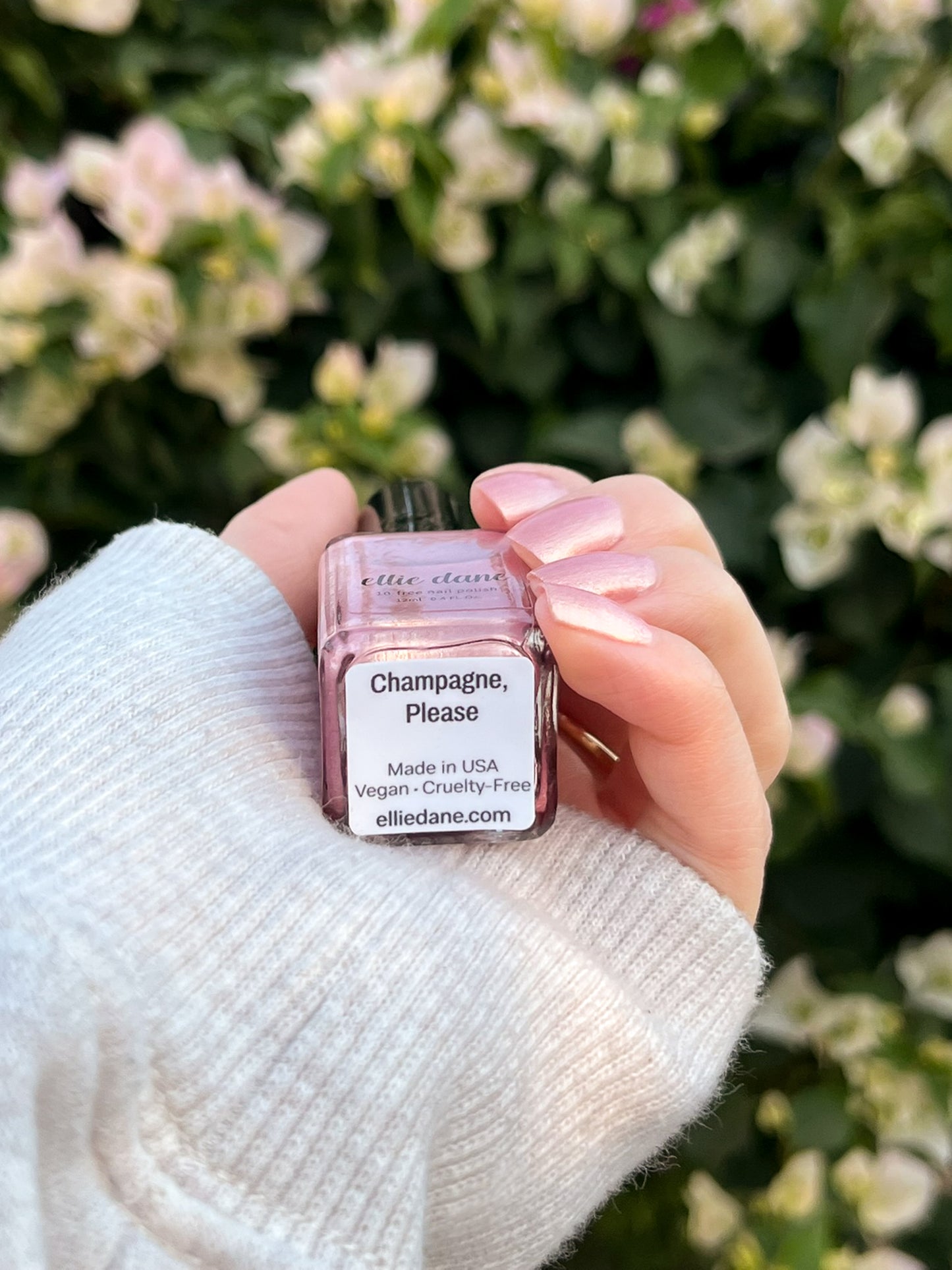 Champagne, Please painted on nails holding nail polish bottle showing bottom label